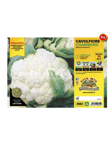 ORTO MIO - PIANTA ALTA QUALITA' -... ORTO MIO - PIANTA ALTA QUALITA' -...