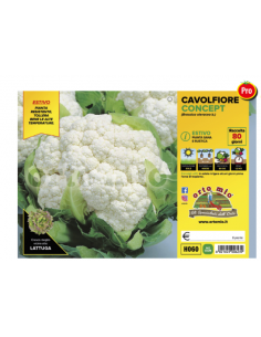 ORTO MIO - PIANTA ALTA...