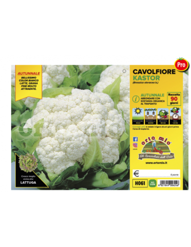 ORTO MIO - PIANTA ALTA QUALITA' -... ORTO MIO - PIANTA ALTA QUALITA' -...