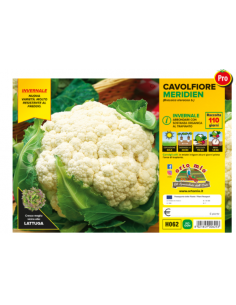 ORTO MIO - PIANTA ALTA...