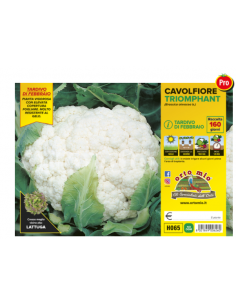 ORTO MIO - PIANTA ALTA...