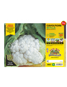 ORTO MIO - PIANTA ALTA...