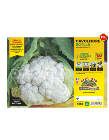 ORTO MIO - PIANTA ALTA QUALITA' -... ORTO MIO - PIANTA ALTA QUALITA' -...