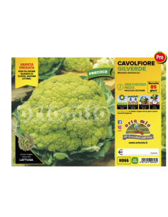 ORTO MIO - PIANTA ALTA...