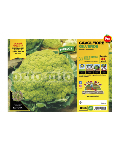 ORTO MIO - PIANTA ALTA QUALITA' -... ORTO MIO - PIANTA ALTA QUALITA' -...