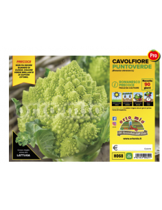 ORTO MIO - PIANTA ALTA...