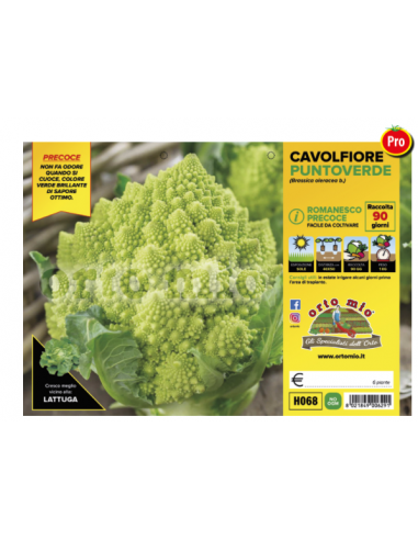 ORTO MIO - PIANTA ALTA QUALITA' -... ORTO MIO - PIANTA ALTA QUALITA' -...