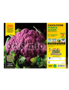 ORTO MIO - PIANTA ALTA...