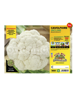 ORTO MIO - PIANTA ALTA...