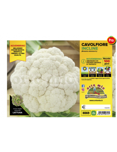 ORTO MIO - PIANTA ALTA QUALITA' -... ORTO MIO - PIANTA ALTA QUALITA' -...