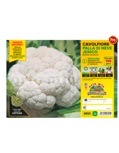 ORTO MIO - PIANTA ALTA...