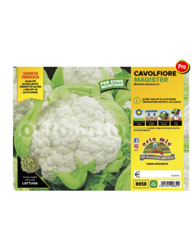 ORTO MIO - PIANTA ALTA QUALITA' -... ORTO MIO - PIANTA ALTA QUALITA' -...