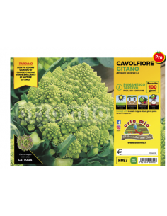 ORTO MIO - PIANTA ALTA...