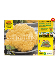 ORTO MIO - PIANTA ALTA...