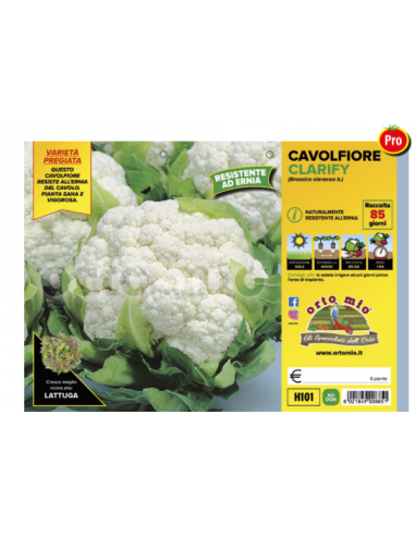 ORTO MIO - PIANTA ALTA QUALITA' -... ORTO MIO - PIANTA ALTA QUALITA' -...