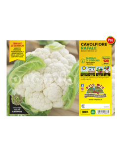 ORTO MIO - PIANTA ALTA...