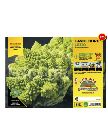 ORTO MIO - PIANTA ALTA QUALITA' -... ORTO MIO - PIANTA ALTA QUALITA' -...