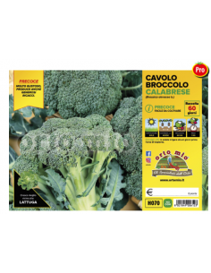 ORTO MIO - PIANTA ALTA...