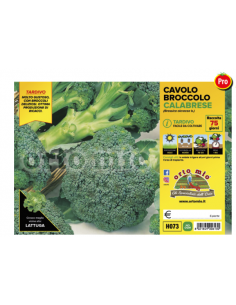 ORTO MIO - PIANTA ALTA...