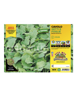 ORTO MIO - PIANTA ALTA...