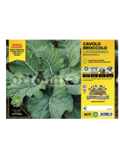 ORTO MIO - PIANTA ALTA...