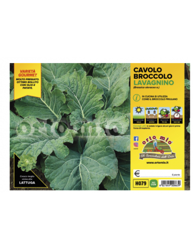 ORTO MIO - PIANTA ALTA QUALITA' -... ORTO MIO - PIANTA ALTA QUALITA' -...