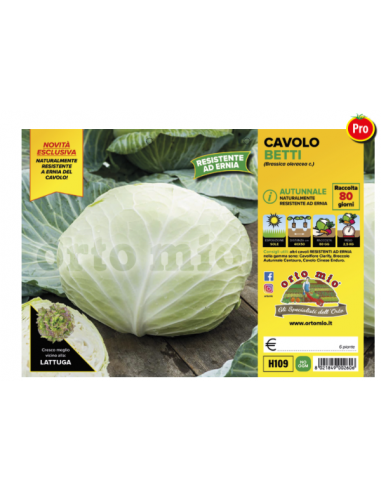 ORTO MIO - PIANTA ALTA QUALITA' -... ORTO MIO - PIANTA ALTA QUALITA' -...