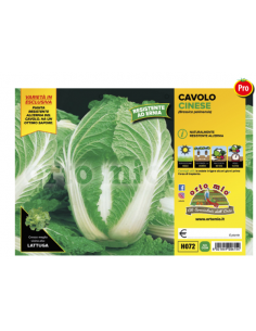 ORTO MIO - PIANTA ALTA...