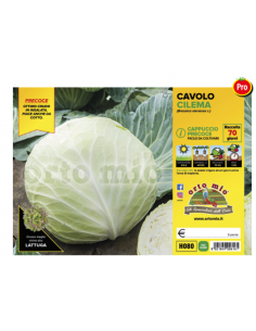 ORTO MIO - PIANTA ALTA...