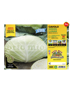 ORTO MIO - PIANTA ALTA...