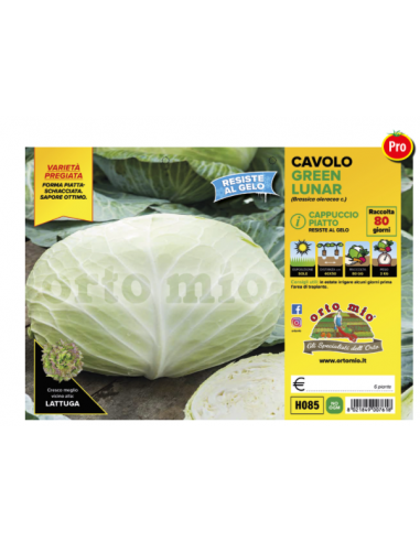 ORTO MIO - PIANTA ALTA QUALITA' -... ORTO MIO - PIANTA ALTA QUALITA' -...