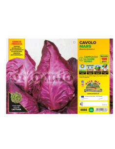 ORTO MIO - PIANTA ALTA...