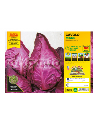 ORTO MIO - PIANTA ALTA QUALITA' -... ORTO MIO - PIANTA ALTA QUALITA' -...