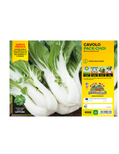 ORTO MIO - PIANTA ALTA...