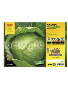 ORTO MIO - PIANTA ALTA...