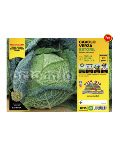 ORTO MIO - PIANTA ALTA QUALITA' -... ORTO MIO - PIANTA ALTA QUALITA' -...