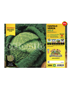 ORTO MIO - PIANTA ALTA...