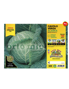 ORTO MIO - PIANTA ALTA...