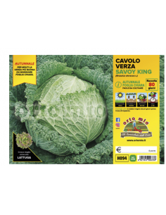 ORTO MIO - PIANTA ALTA...