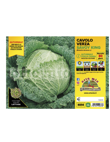 ORTO MIO - PIANTA ALTA QUALITA' -... ORTO MIO - PIANTA ALTA QUALITA' -...