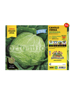 ORTO MIO - PIANTA ALTA...