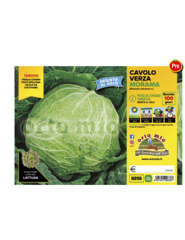 ORTO MIO - PIANTA ALTA QUALITA' -... ORTO MIO - PIANTA ALTA QUALITA' -...