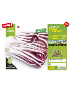 ORTO MIO - PIANTA ALTA...