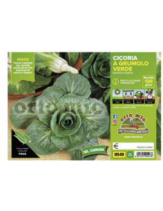 ORTO MIO - PIANTA ALTA...