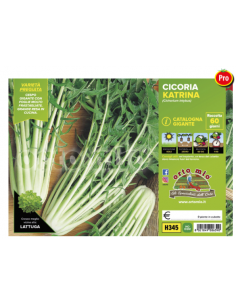 ORTO MIO - PIANTA ALTA...