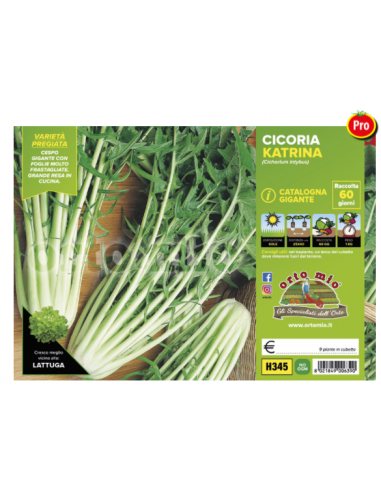 ORTO MIO - PIANTA ALTA QUALITA' -... ORTO MIO - PIANTA ALTA QUALITA' -...