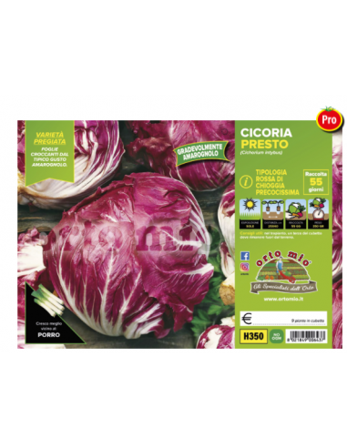 ORTO MIO - PIANTA ALTA QUALITA' -... ORTO MIO - PIANTA ALTA QUALITA' -...