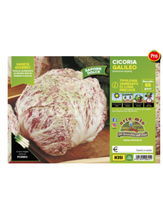 ORTO MIO - PIANTA ALTA...