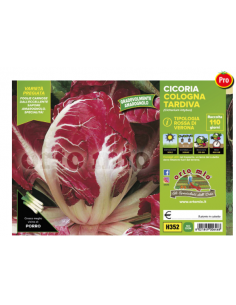 ORTO MIO - PIANTA ALTA...