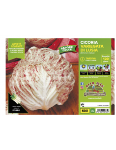 ORTO MIO - PIANTA ALTA...